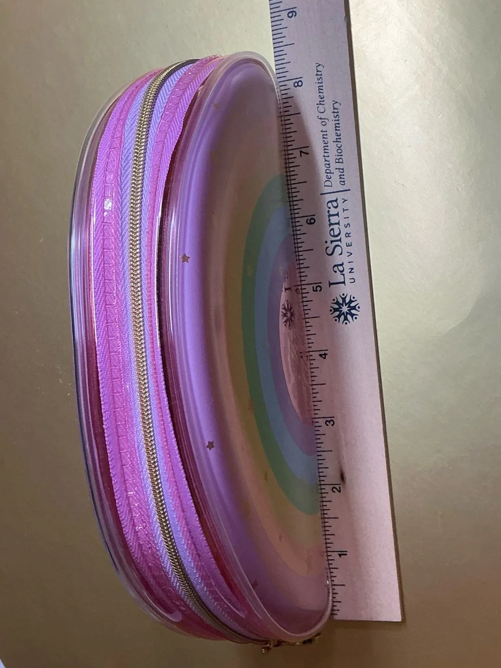 Too Faced Rainbow Pouch Case with Stamped Heart Zipper